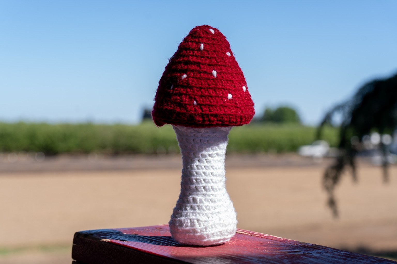 Crochet mushroom on a red railing outdoors